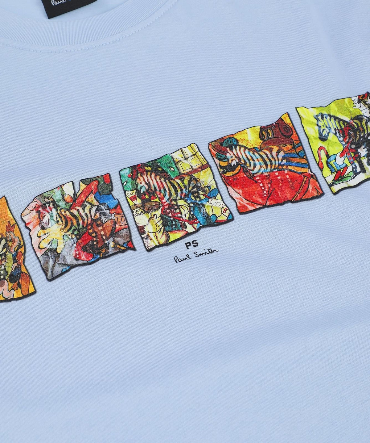 Multi Zebra T-Shirt - Sky